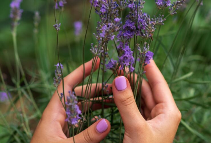 Elegancki manicure w kolorze lawendowym